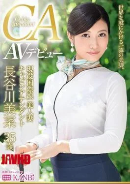 336DTT-044 Active International Cabin Attendant Kami Legged Married Woman Mina Hasegawa 35 Years Old AV
