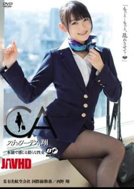 BF-240 Sho Nishino Et Al Intercourse Feel Stewardess, By Instinct Sho