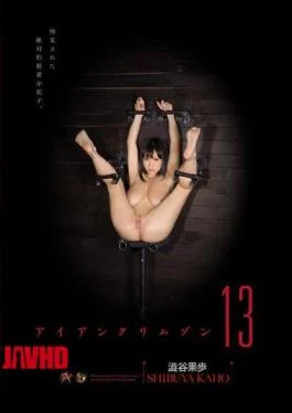 DASD-355 Iron Crimson 13 Kaho Shibuya