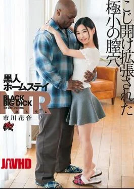 DASD-690 Black Homestay NTR Plucked And Expanded Micro Vagina Ichikawa Kanon