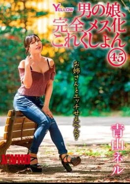 HERY-154 Boy’s Daughter, Complete Feminization Collection 45 Aoyama Neru