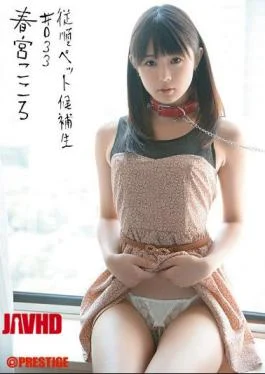 INU-052 Togu Mind # 033 Candidates Obedient Pets