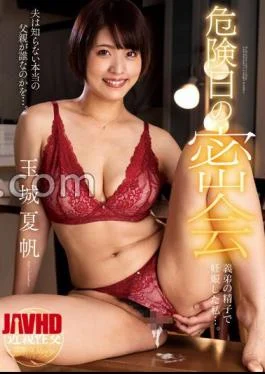 KSBJ-271 A Secret Meeting On A Dangerous Day: I Got Pregnant With My Brother-in-law’s Sperm