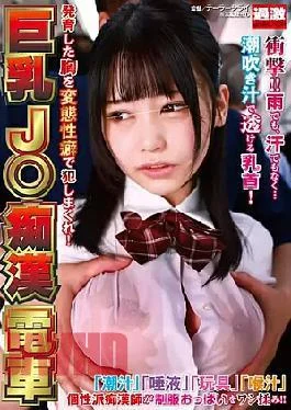 NHDTB-851 Big-breasted J Molester Train – Rape Her Grown Breasts With Perverted Fetishes!