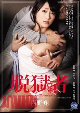 SHKD-549 Escapee Sho Nishino