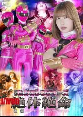 SPSF-22 Sentai Pink Rangers In Desperate Straits – Part 2: The Zain Four Brothers Toy