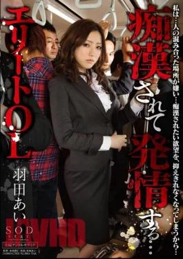 STAR-336 Estrus Is To Pervert Love Haneda Elite OL …