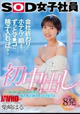 SDJS-203 First Vaginal Cum Shot At The Hotel At The End Of The Company Until