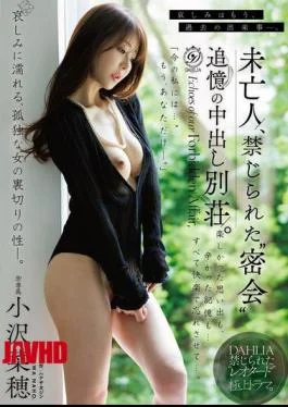 DLDSS-538 A Widow’s Forbidden ‘secret Rendezvous’: A Villa Filled With Memories Of Unprotected Sex. Naho